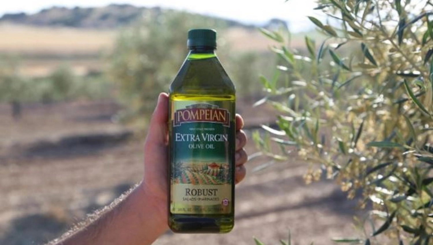 shop Pompeian olive oil