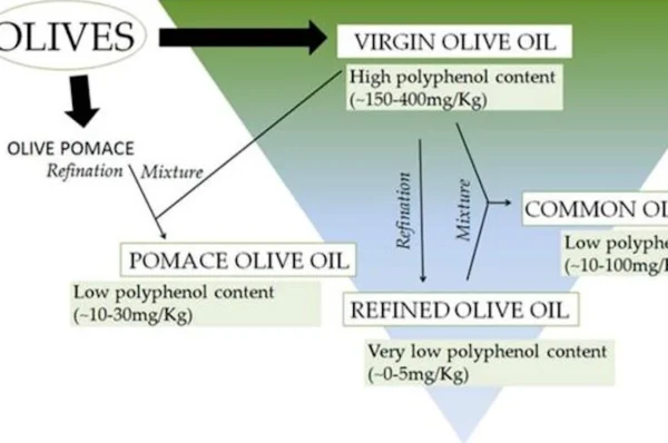 Extra virgin olive oil: Polyphenol-rich olive oil