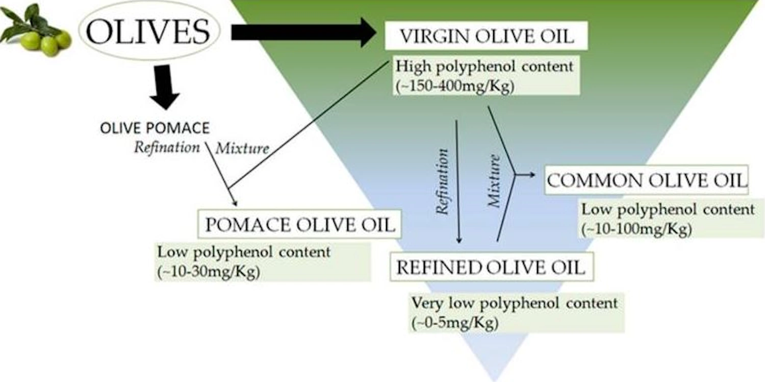 Extra virgin olive oil: Polyphenol-rich olive oil