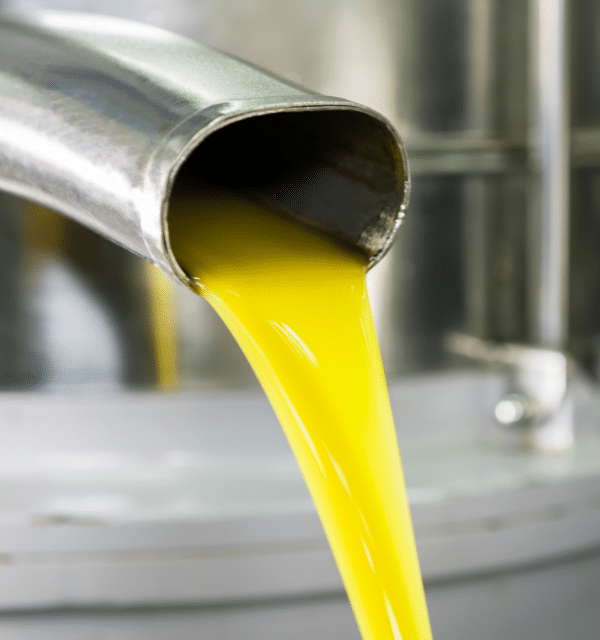 best olive oils extra