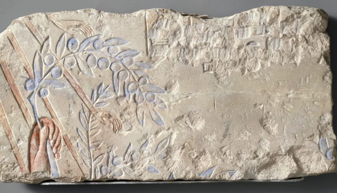 extra virgin Olive Oil Like an Ancient Egyptian