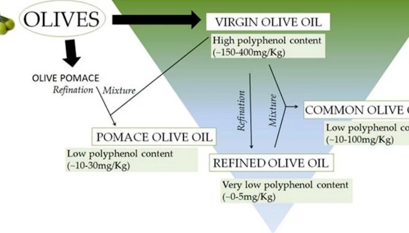 Extra virgin olive oil: Polyphenol-rich olive oil
