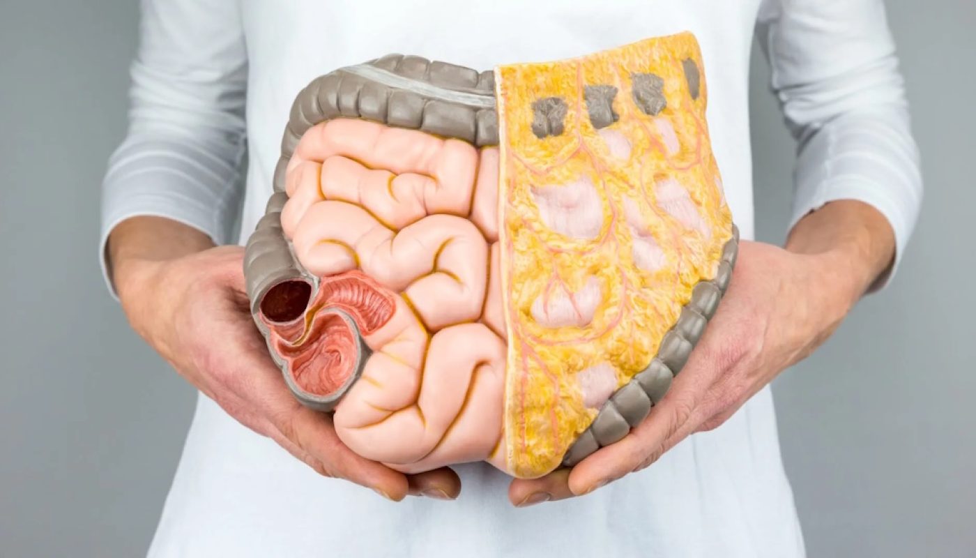 Combating Visceral Fat with olive oil